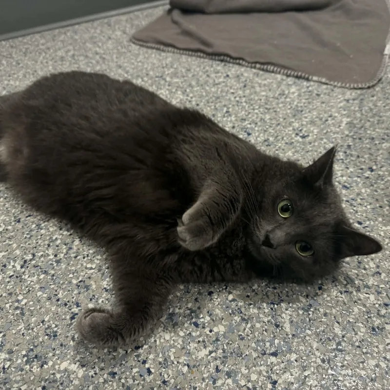 Squirmie thumbnail 4