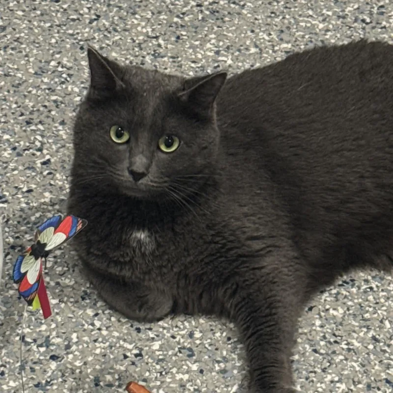 Squirmie thumbnail 5