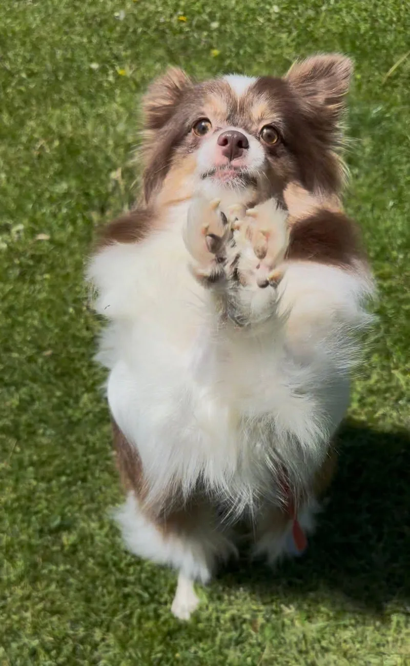 Everly thumbnail 4