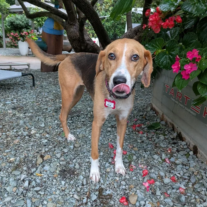 Ella thumbnail 4