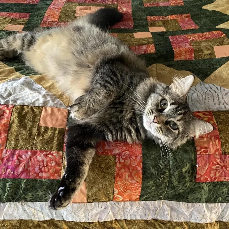 Sylivia "sylz" thumbnail 2