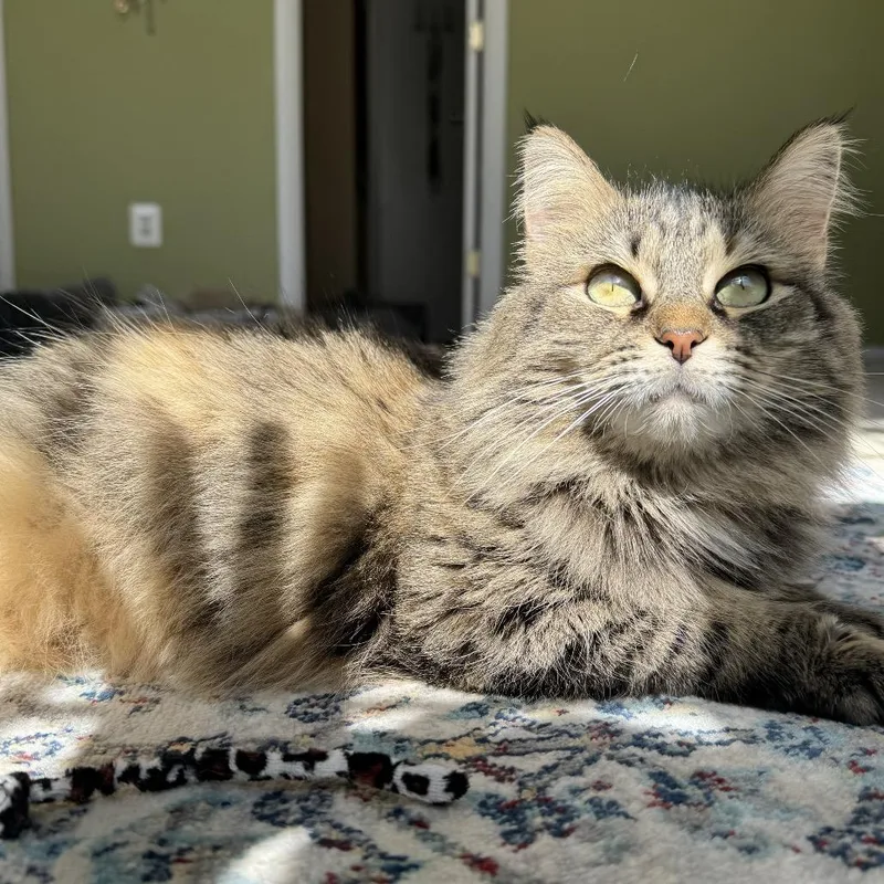 Sylivia "sylz" thumbnail 6