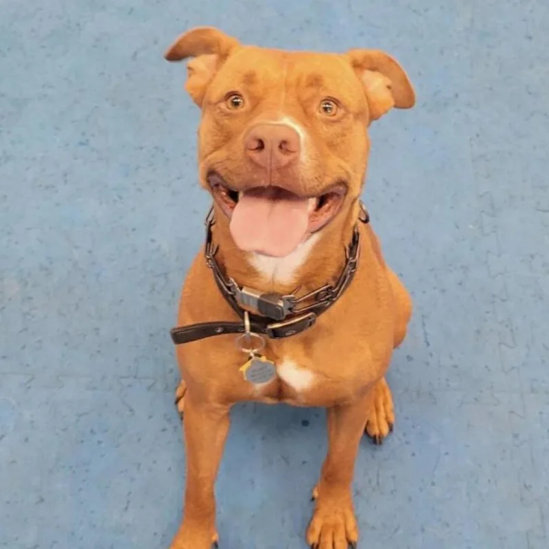 De'layney thumbnail 2