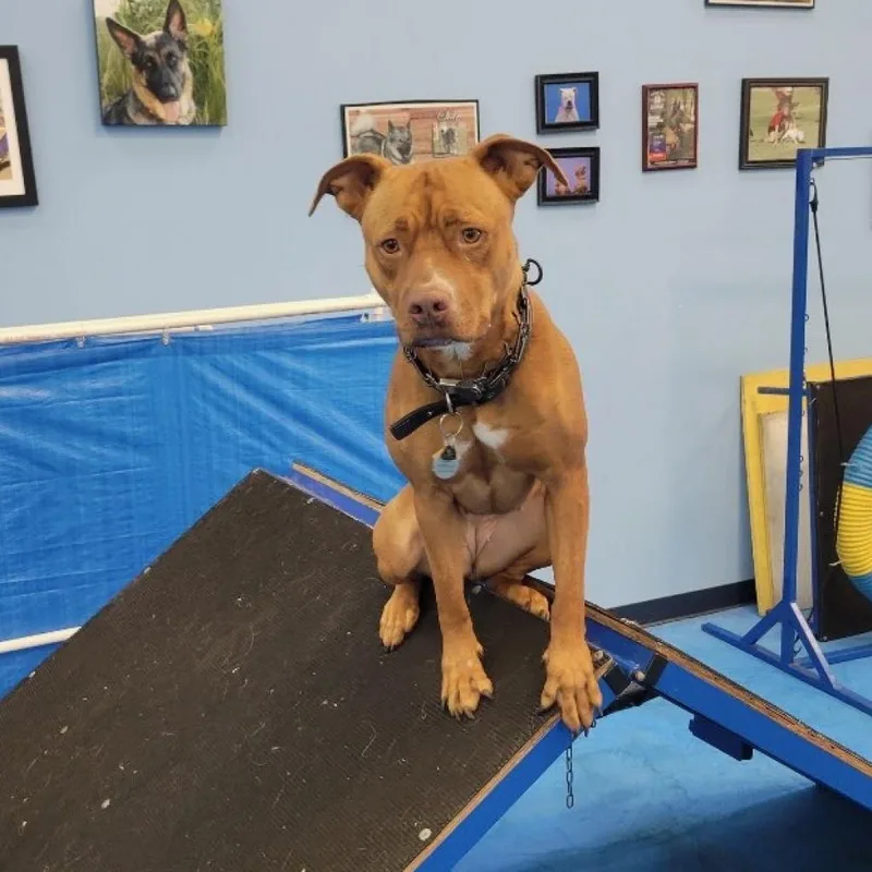 De'layney thumbnail 3