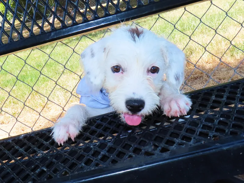 Shirley CA thumbnail 5