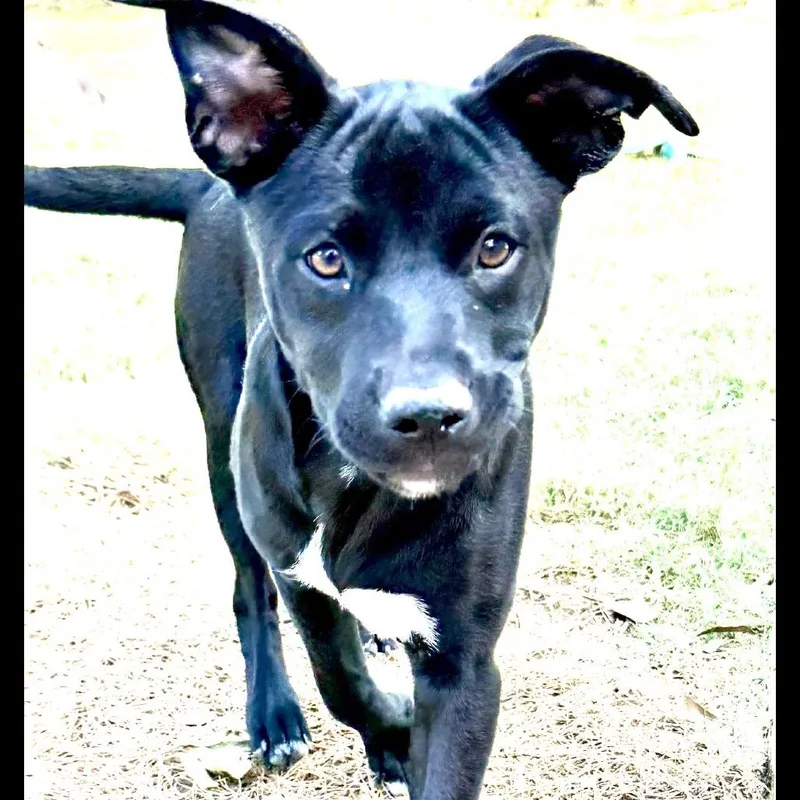 Zena thumbnail 2