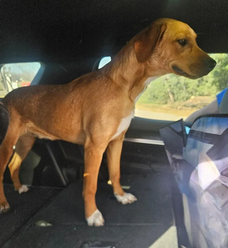 Prinston thumbnail 3