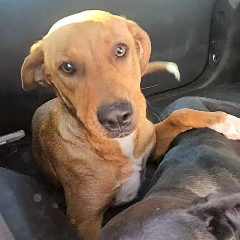 Prinston thumbnail 6