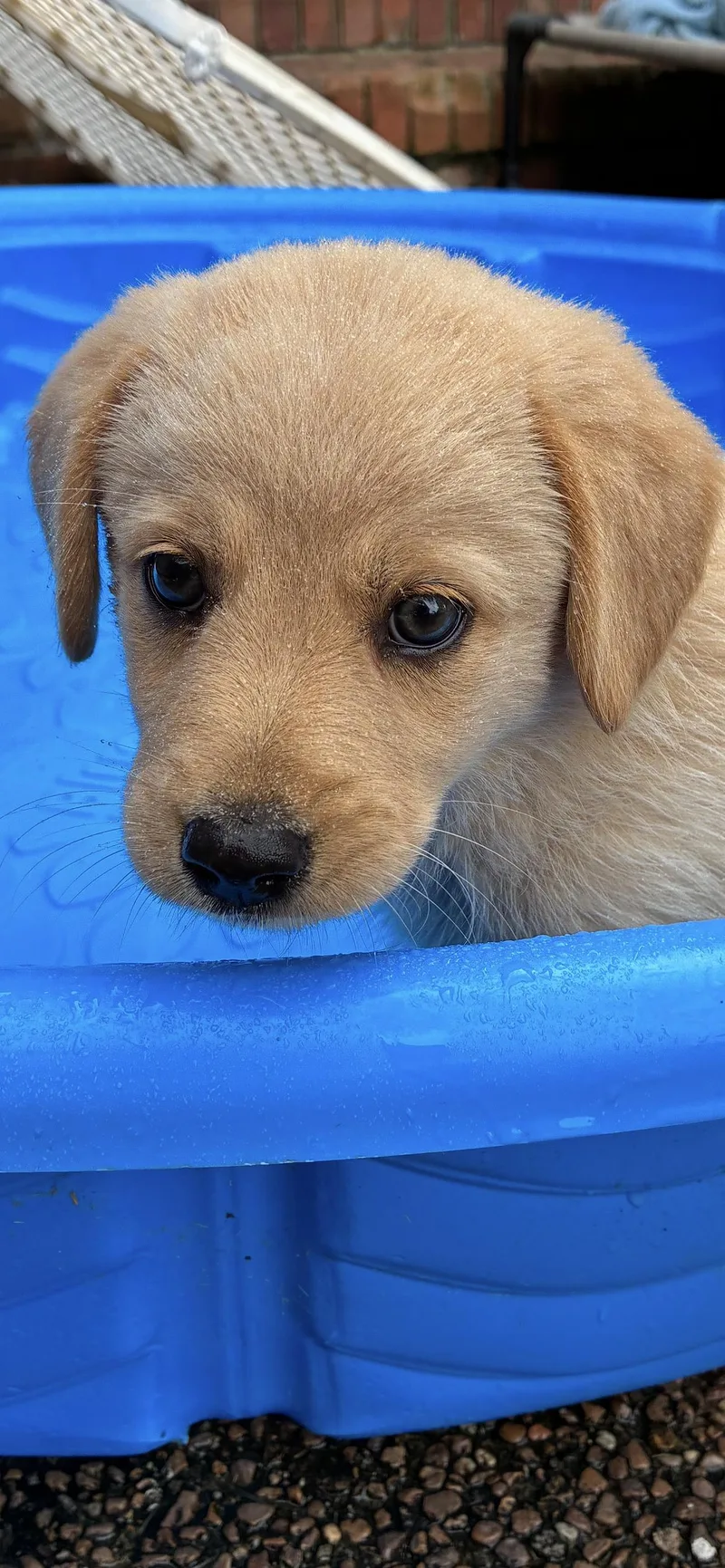 Molly thumbnail 2
