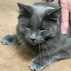 Tonkaaka Tucker