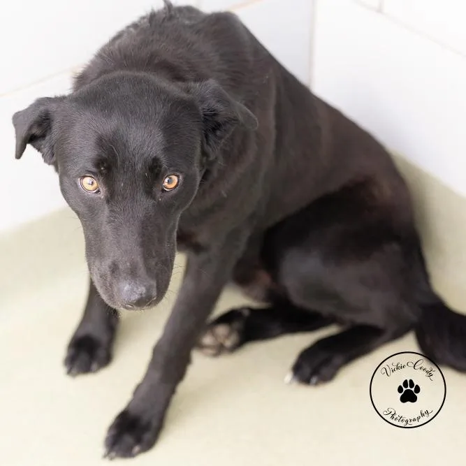 Washington thumbnail 2