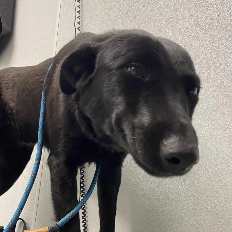 Washington thumbnail 3