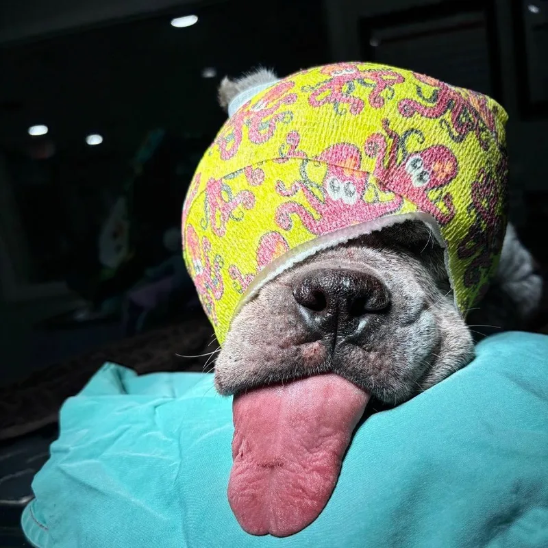 Margie thumbnail 6