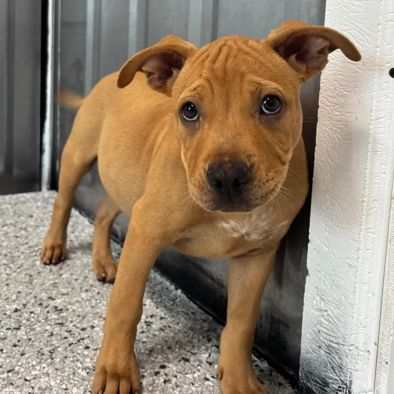 Rhythm thumbnail 4