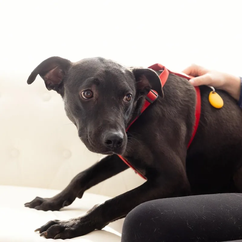 Five Points thumbnail 4