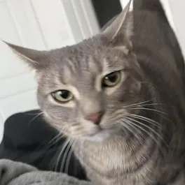 Mimi thumbnail 3