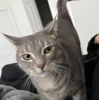 Mimi thumbnail 4