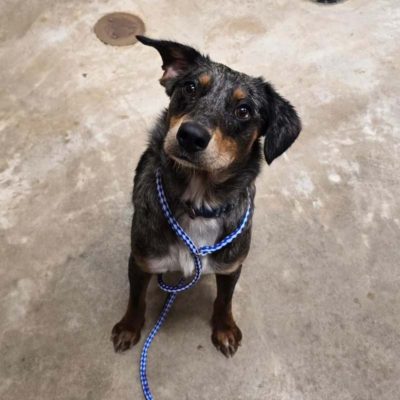 Journey U thumbnail 2