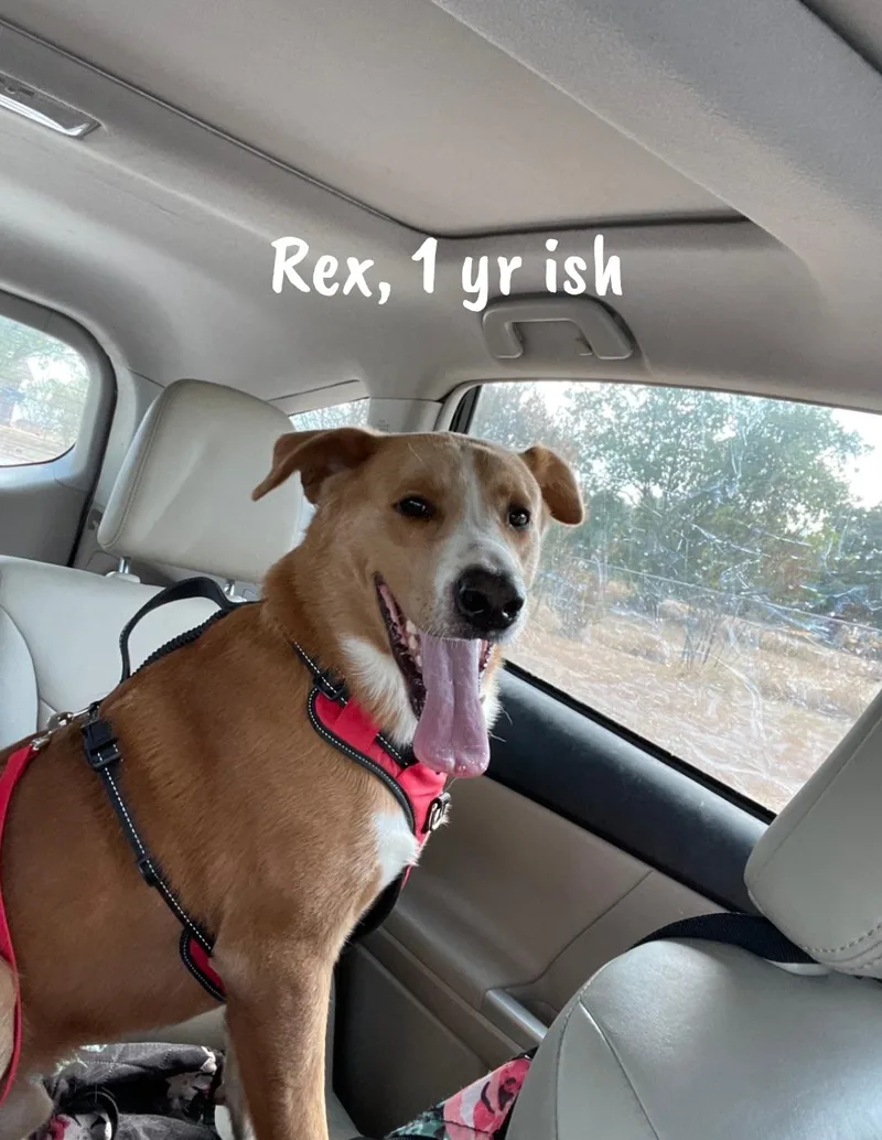 Rex