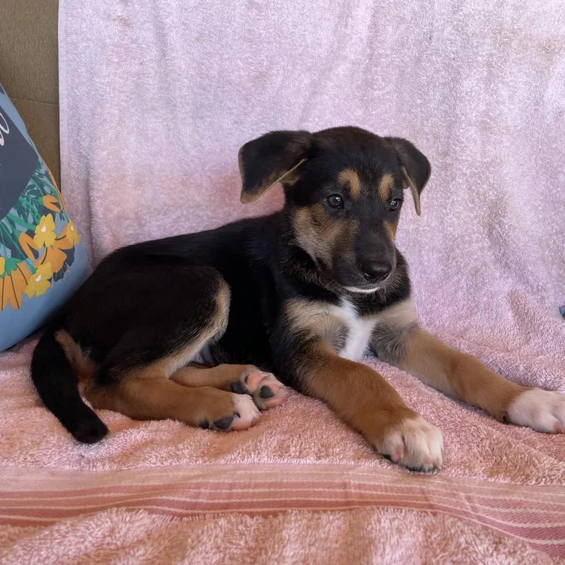 Areli thumbnail 2