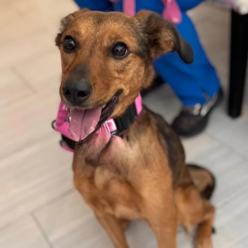 Marceline thumbnail 2