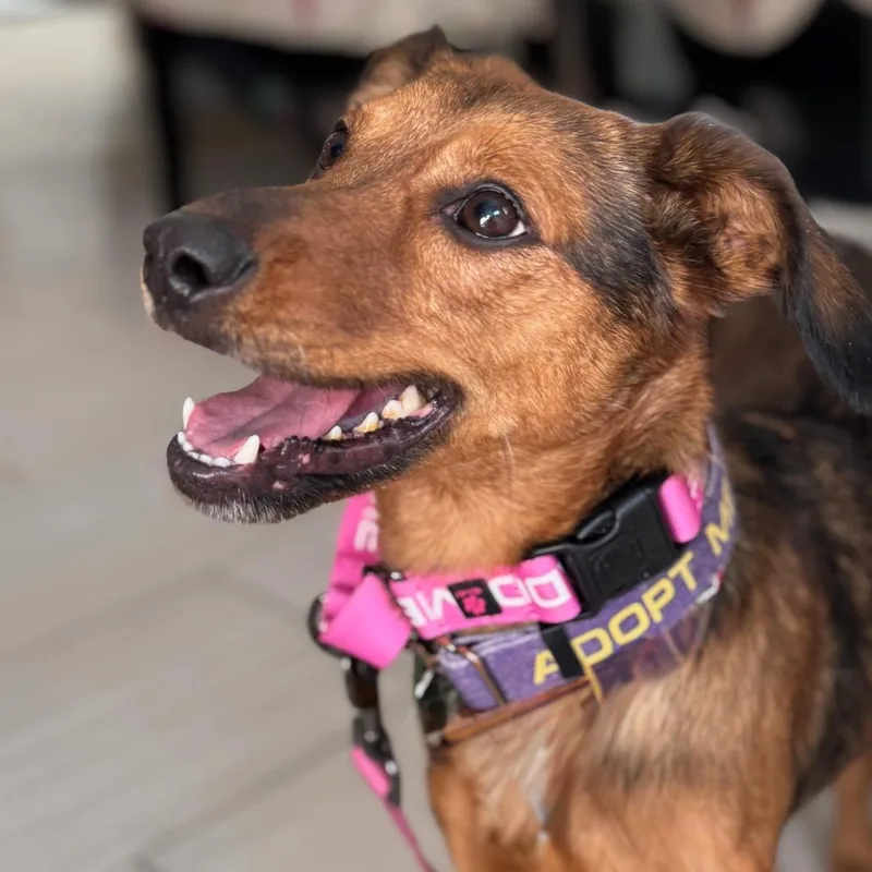 Marceline thumbnail 3