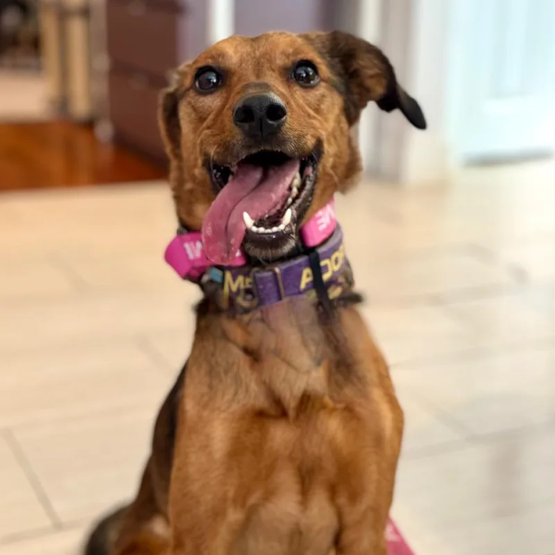 Marceline thumbnail 4