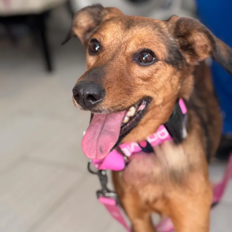 Marceline thumbnail 5