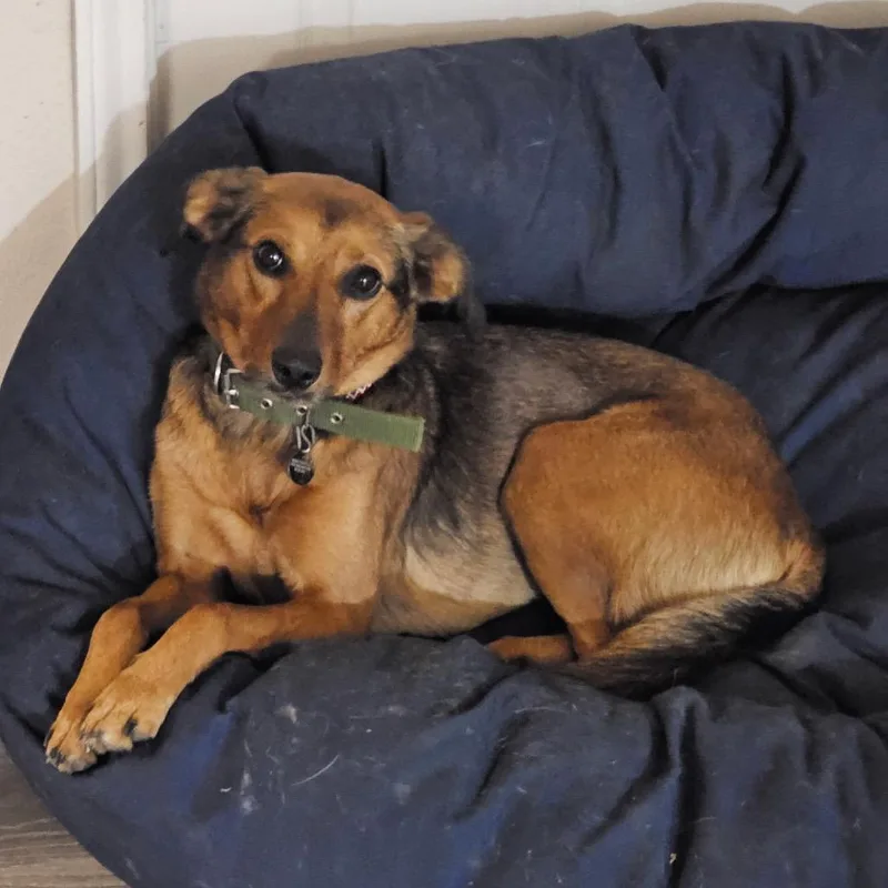 Marceline thumbnail 6