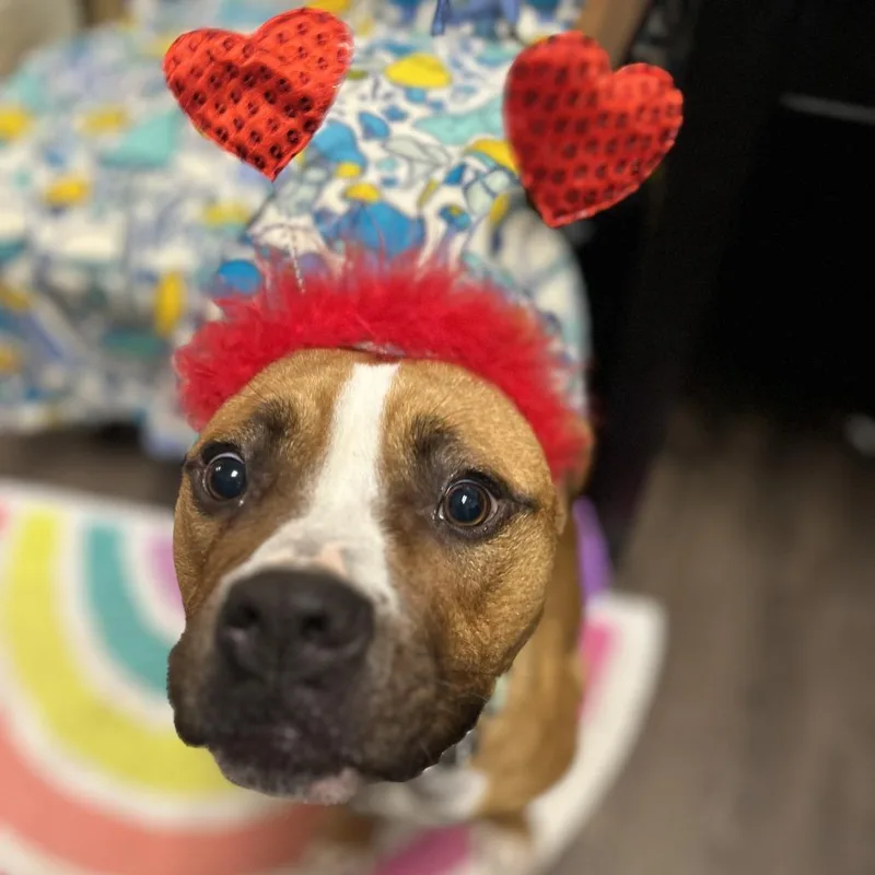 Snowmageddon thumbnail 5