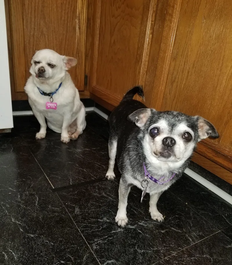 Jill   Pounds thumbnail 2