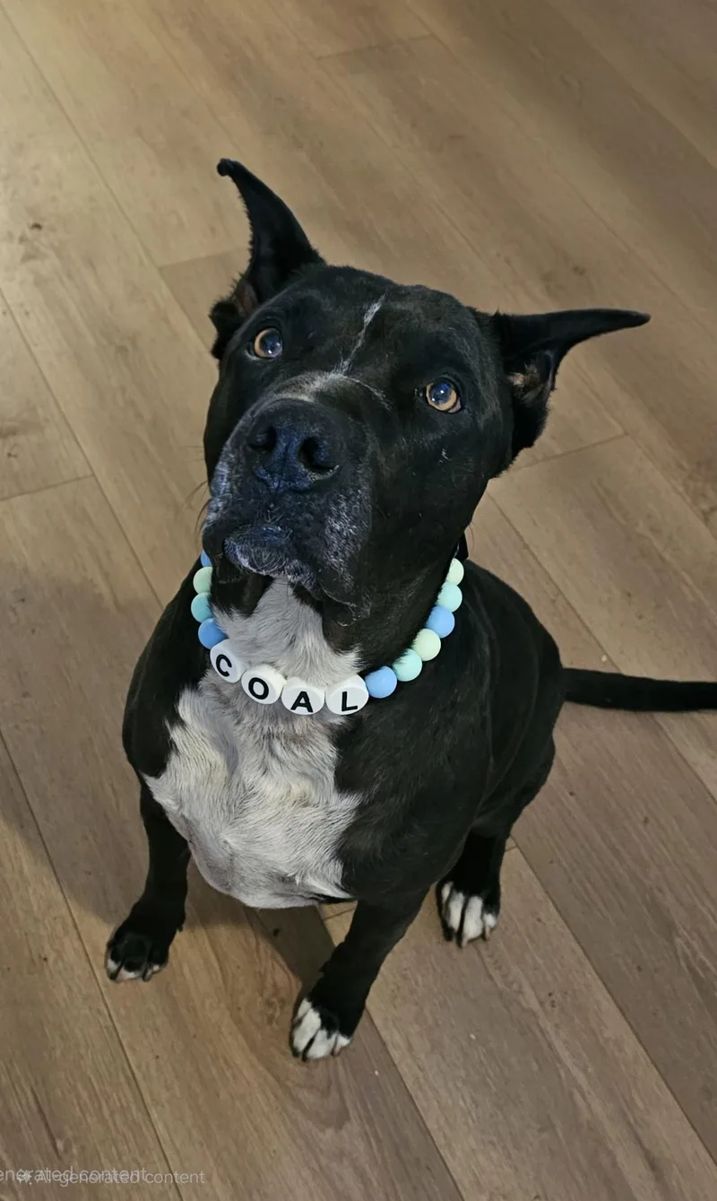 Nat King Cole Coal!! thumbnail 3