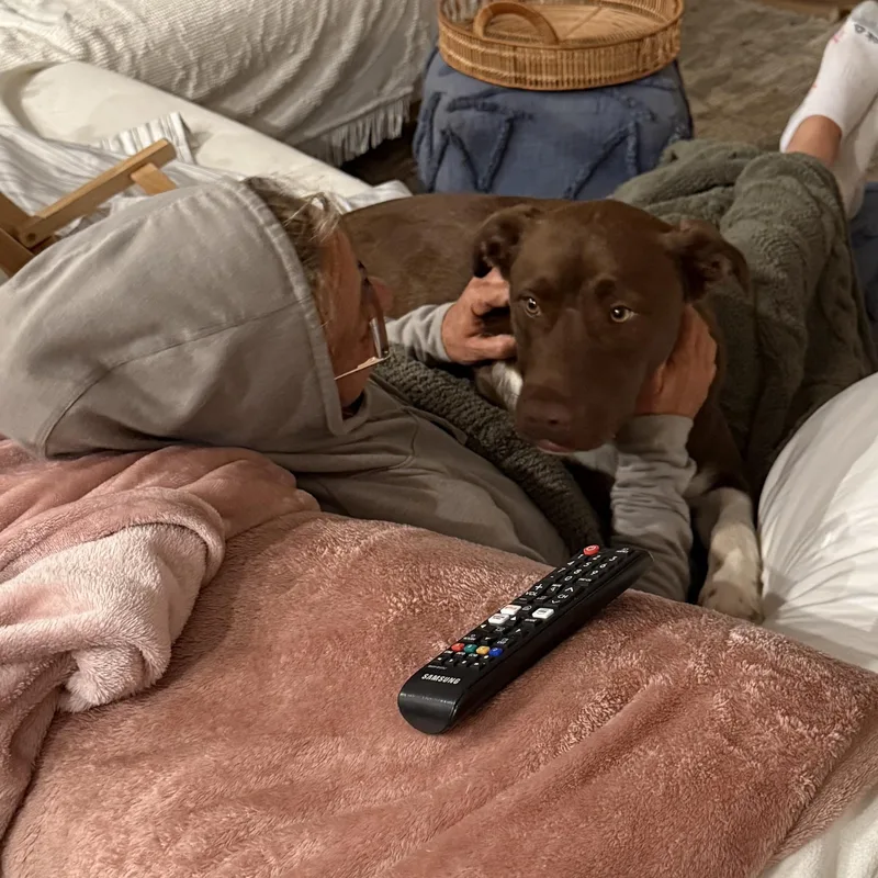 Snickers thumbnail 6