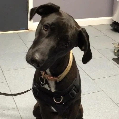 Reina Fka Twinkle thumbnail 2