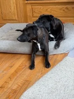 Reina Fka Twinkle thumbnail 3