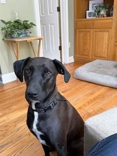 Reina Fka Twinkle thumbnail 4