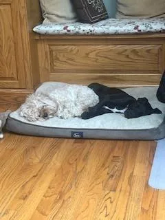 Reina Fka Twinkle thumbnail 5