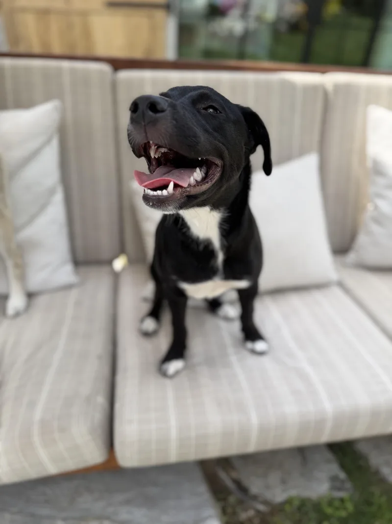 Daisy Mae