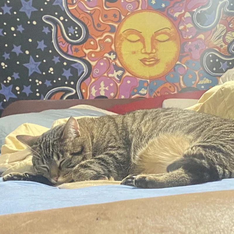 Delilah