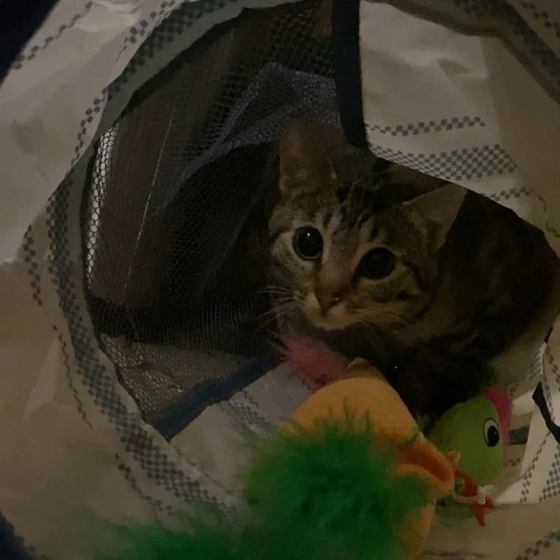 Delilah thumbnail 5