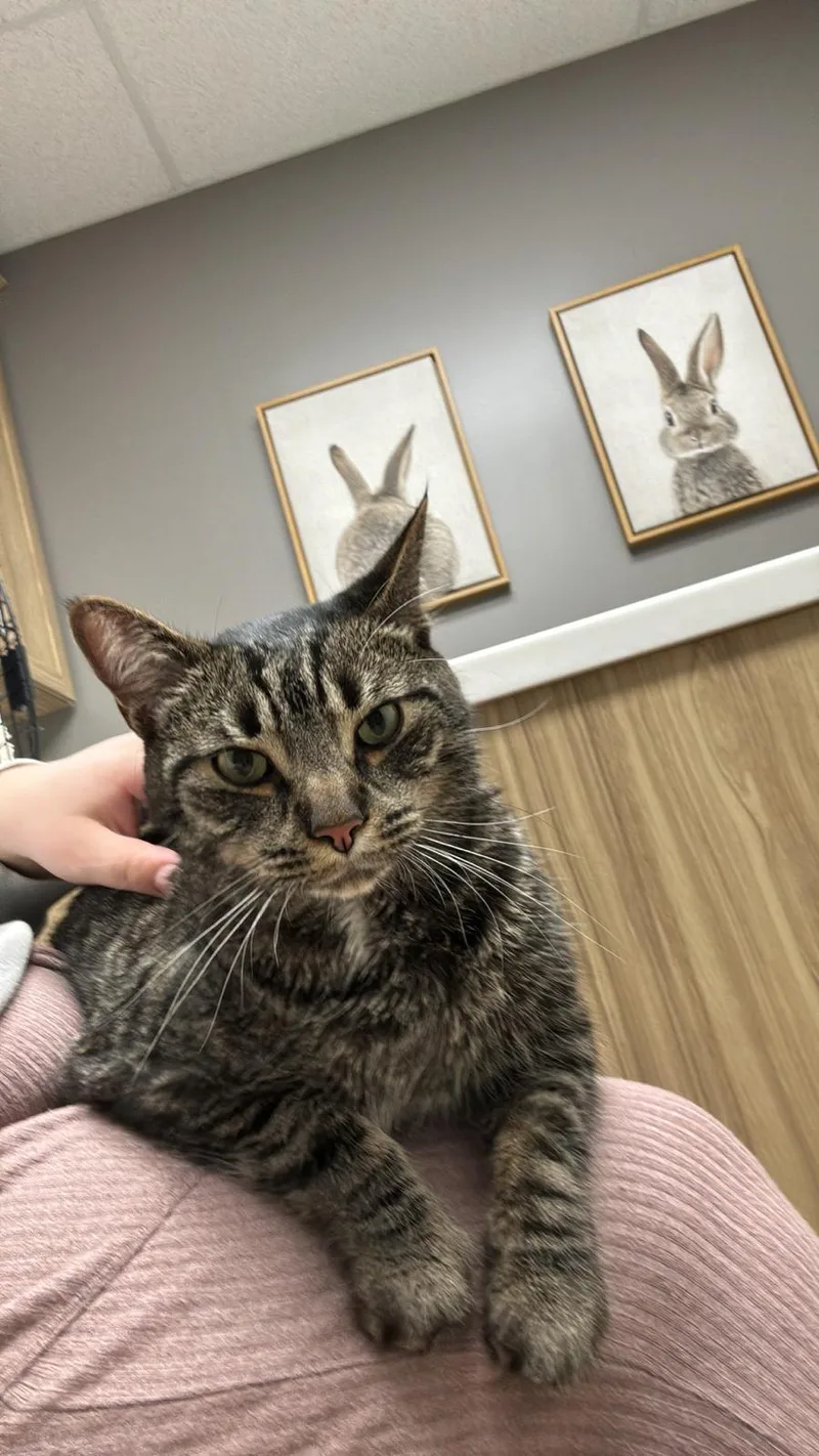 Salvador thumbnail 5