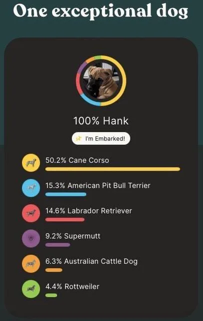 Hank thumbnail 5