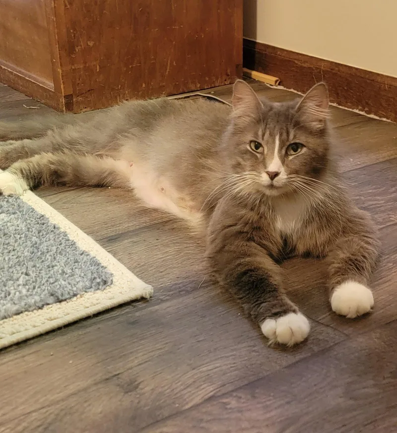 Pixel