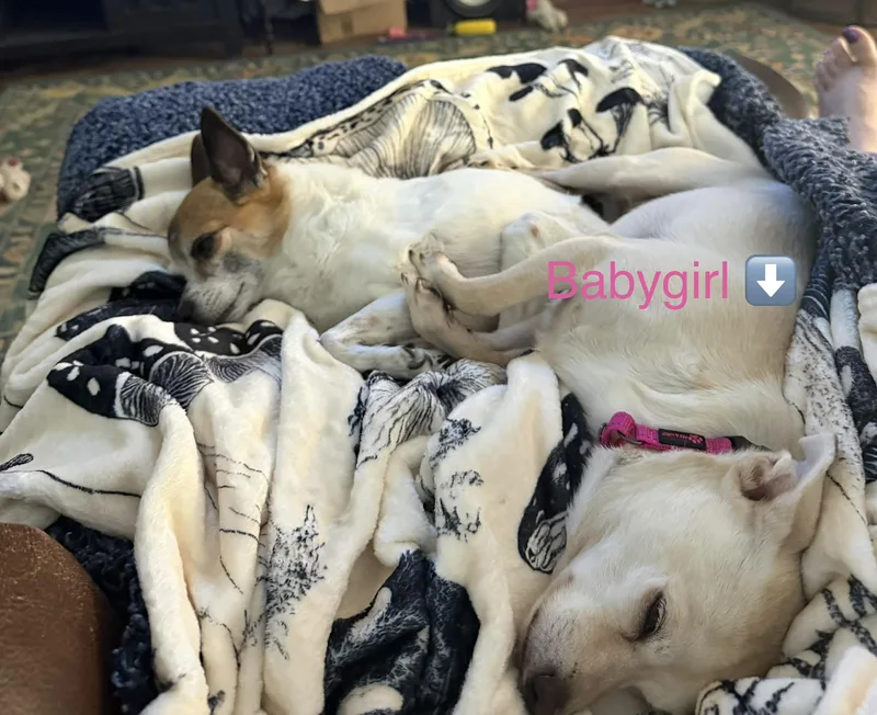 Babygirl thumbnail 2