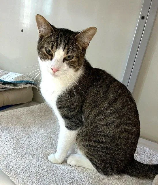 Garfunkel thumbnail 2