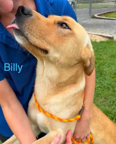 Billy thumbnail 3