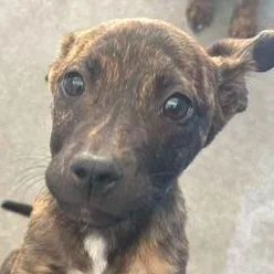 Jennifer thumbnail 2