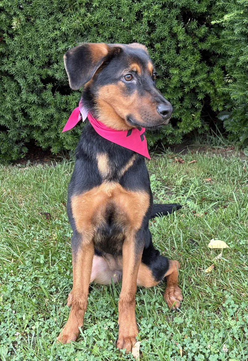 Nina