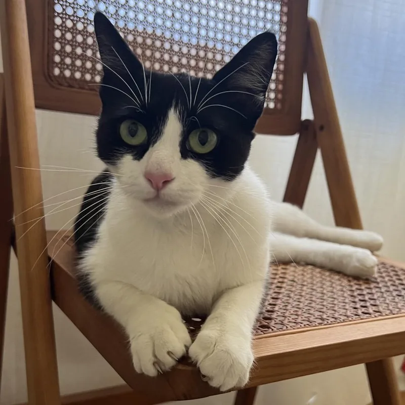 Daenerys thumbnail 2