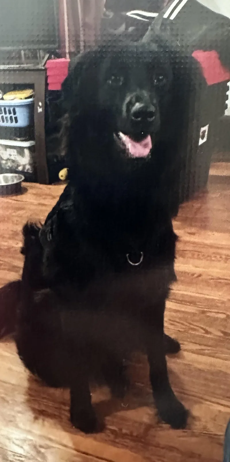 Smart Girl!!! thumbnail 2